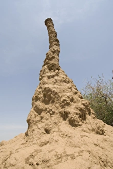 Africa, Ethiopia