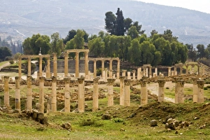Images Dated 2nd February 2009: Africa, Ethiopia