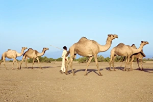 Images Dated 5th November 2004: Africa, Ethiopia