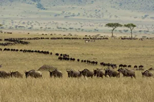 Africa, Kenya