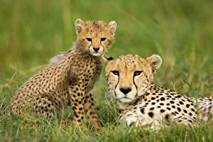 Family Prints: Africa, Kenya