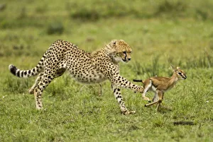 Africa, Kenya