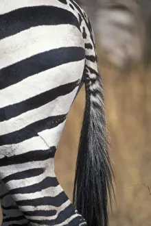 Africa, Kenya