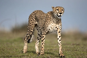 Africa, Kenya