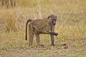 Africa, Kenya