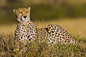 Africa, Kenya