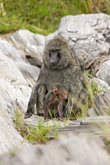 Africa, Kenya