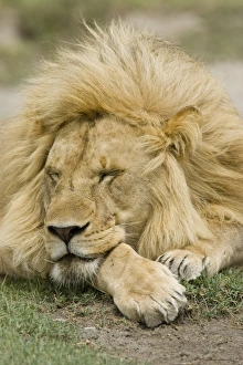 Africa, Kenya