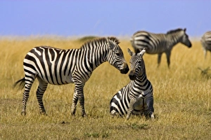 Africa, Kenya