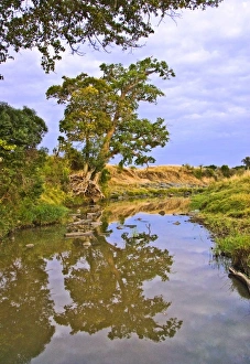 Africa, Kenya