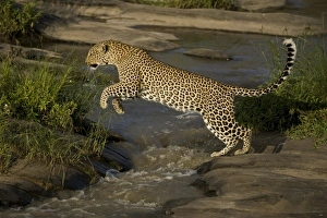 Africa, Kenya