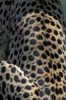 Africa, Kenya