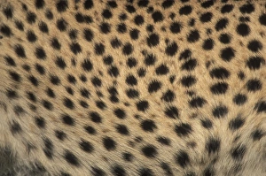 Africa, Kenya