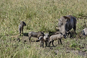 Africa, Kenya