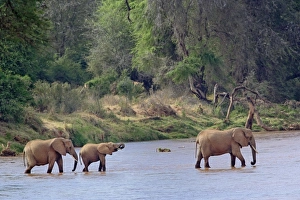 Africa, Kenya