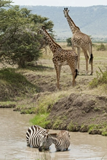 Africa, Kenya