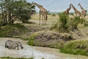 Africa, Kenya