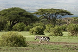 Africa, Kenya