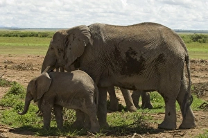 Africa, Kenya