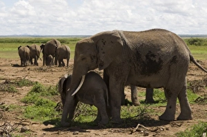 Africa, Kenya