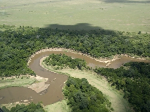 Images Dated 30th September 2008: Africa, Kenya