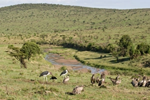 Africa, Kenya