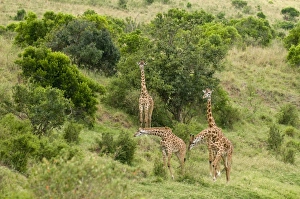 Africa, Kenya