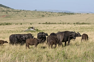 Africa, Kenya