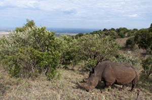 Images Dated 4th October 2009: Africa, Kenya