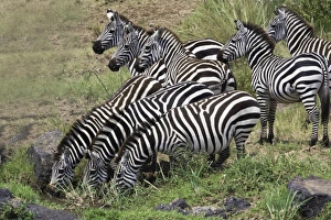 Images Dated 18th July 2005: Africa, Kenya