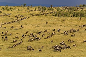 Africa, Kenya