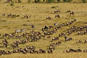 Africa, Kenya