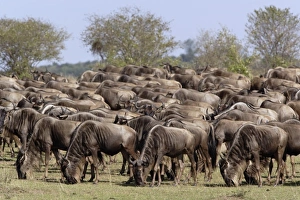 Africa, Kenya