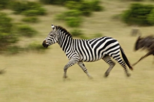 Africa, Kenya