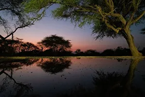 Waterhole Prints: Africa, Kenya, Amboseli National Park. Sunrise on lake