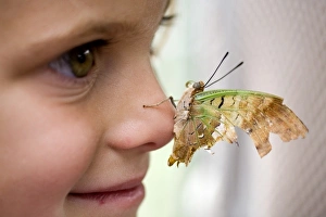Images Dated 6th August 2006: Africa. Kenya. Child with butterfly on her nose. (MR)
