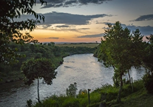 Kenya Gallery: Africa, Kenya, Masai Mara National Reserve