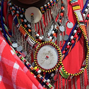 Prints of Africa, Kenya. Masai Mara National Reserve, Mara Ashnil. Masai tribal jewelry and ornamentation Images Dated 2024 December: Africa, Kenya. Masai Mara National Reserve