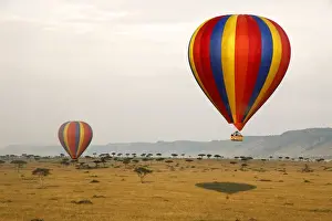 Escarpment Prints: Africa, Kenya, Msai Mara. Hot-Air Ballooning over the Msai Mara