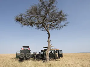 Images Dated 26th July 2016: Africa, Kenya, Msai Mara National Reserve. Tourists having lunch on Msai Mara