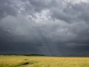 Images Dated 24th January 2018: Africa, Kenya, Msai Mara National Reserve. Storm clouds over savannah at sunset