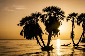 Images Dated 25th February 2020: Africa, Kenya, North Rift District, Turkana Land, Eliye Springs on Lake Turkana