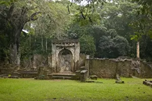 Images Dated 23rd July 2008: Africa. Kenya. Ruins at Gedi, an ancient Swahili city near Mombasa