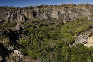 Images Dated 18th December 2005: Africa, Madagascar