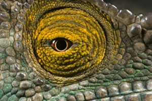 Africa, Madagascar