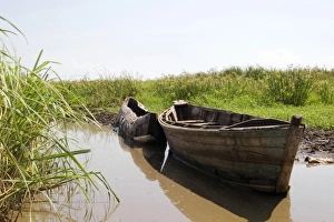 Images Dated 18th November 2006: Africa, Malawi
