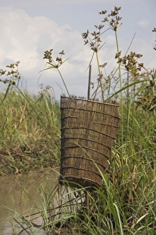 Images Dated 18th November 2006: Africa, Malawi