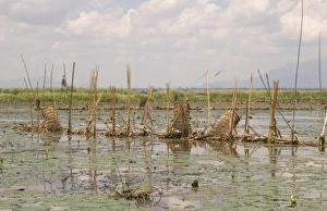 Images Dated 18th November 2006: Africa, Malawi
