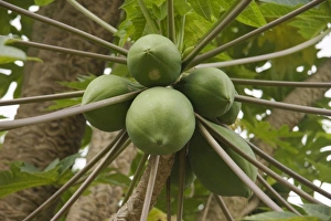 Africa, Malawi