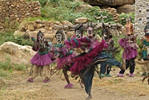 Images Dated 2nd February 2010: Africa, Mali